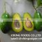 BEST QUALITY OF FRESH AVOCADO FRUIT