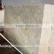 Sandstone paving stone