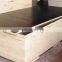 Famous China black film plywood, Brown film faced plywood