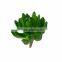 mini fake plant artificial desert succulent plant for home decor