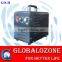 2G 3G mini portable car ozone generator