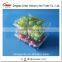 good quality Disposible plastic food PET tray/strawberry/blueberry clamshell tray