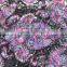 165gsm mesh jacquard nylon87%spandex13% purple julian lycra fabric
