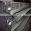 H Type Layer Metal Quail Cage With Automatic Water System For Sale On