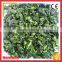 Iqf Bqf Fresh Spinach Ball
