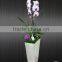 New Product Modern Stainless Steel types of flower wedding Vases