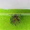Scale models, architecture model tree, family model tree, building model tree, train layout model ,MT-31