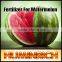 Huminrich Potassium Humate Organic Water Soluble Fertilizer For Melon