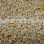 Chinese Frozen Dried (FD snack) Mango powder,Dice for sale