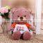 China design oem multifunctional beautiful purple color plush teddy bear toy