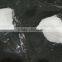 Sodium Tripolyphosphate