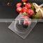 small best selling clear acrylic dome