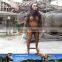 MY Dino-C079 Outdoor life size fiberglass apes for sale