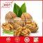 new stock Walnut Kernels for sale