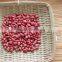 Groundnut Peanut Kernels