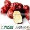 Manufacture Supply Organic high quality sweet chinese organic red dates/ dried jujube dates/chinese dried red dates