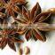Star anise / aniseeds without stems grade 1 from Vietnam - Best price & best quality for export