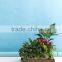 Perfect waterproof rectangular planter of Indoor Gardening