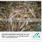 Dried salted cod fish price