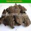 Popular Male Enhancement Black Pueraria Mirifca Dry Slice Tea