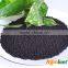 Natural Organic Carbon Granular Fertilizer