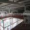 2015 new design large capacity occupation poultry chicken feed processing plant