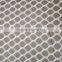 Hexagonal Plastic Nets Diamond plastic mesh