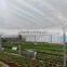 Film Greenhouse Material Heat Preservation Quilt