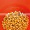 Healthy Microwave Popcorn Popper/Silicone Micro Popcorn Maker round