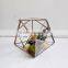 Hanging and Geometric Glass Terrarium