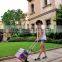 70kgs Foldable Soft Trolley Luggage