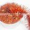 Top quality hot selling party decorations kit