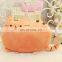 Home Decoration Throw Pillow Lovely Cat Cute Decorative Pillowcat