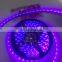 Shenzhen High Quality 5050 Led Flexible Strip Epistar 400nm uv Led Strip 5m/roll With 3 Years Warranty