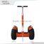 China shenzhen professional cheap smart Golf Cart Electric Bicycle