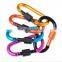 Popular Hot Sell D-ring Snap Spring Hook Carabiner Lock Clip Keychain Climbing Backpack