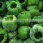 BRC-A Top Quality  IQF Frozen yellow Sweet Bell Pepper whole