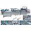 Tablet/capsules Blisters Aluminum Plastic Blister Packing Machine and Cartoning Machine Production Line