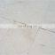 Natural Stones Premium Fossil Limestone Pavers and Tiles  Polished and Honed cut to size Made in Turkey Factory CEM-P-62-12