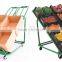 Vegetable display shelf supermarket shelves