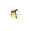 China Factory Direct Sales CNHTC SITRAK ZF16S2530TO 16Gear Gearbox Assembly WG9000361012 Plug Ng12-M22x1.5