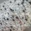 China fancy covered yarn supplier HBC007