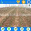 farm land watering irrigation system