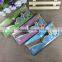 Student Scale Plastic Transparent Cute Beautiful Bird Ruler Set