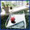 High quality acrylic fruit tray supplies