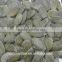 GWS Pumpkin Kernels raw cashew nut wholesale