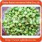 2016 Top Grade Quality Wasabi Coated Green Peas