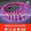 CE ROHS GS 60pcsSMD3528/5050 LED strip light