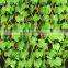 extendable willow fence artificial fence artificial hedge garden fencing