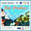 Korean High Quality Plain Printing Super Soft Coral Fleece Blanket